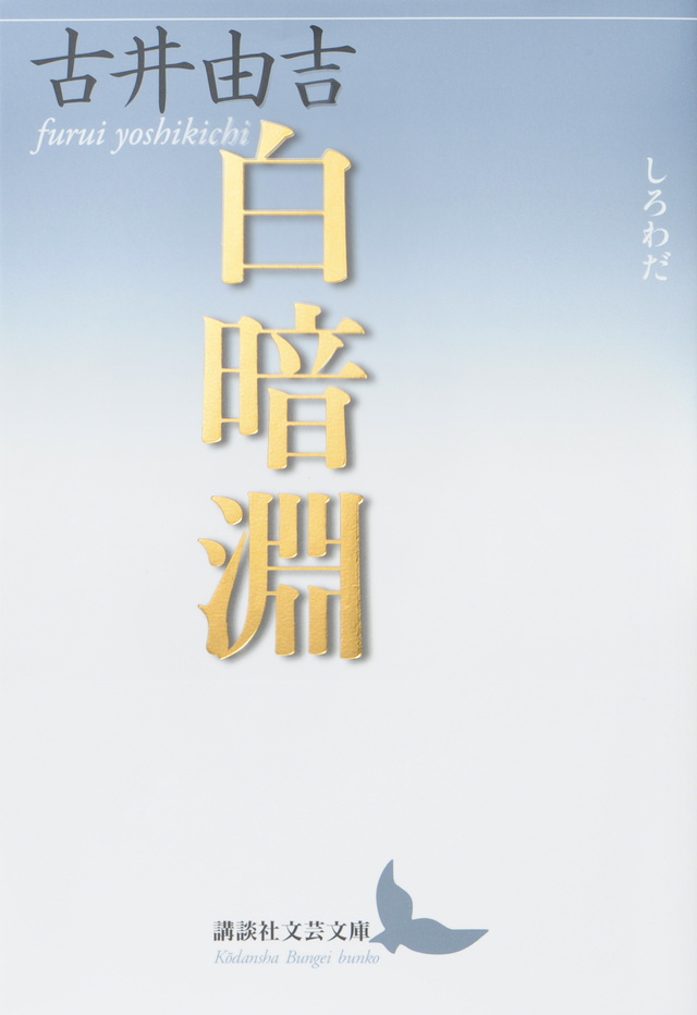 古井由吉著「白暗淵」