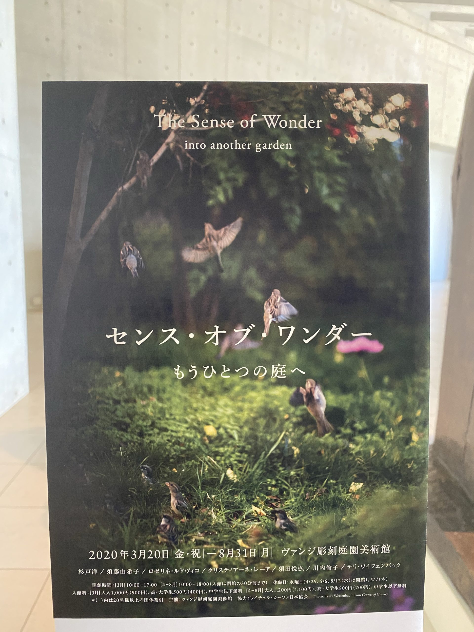 「センス・オブ・ワンダー」展＠ヴァンジ彫刻庭園美術館